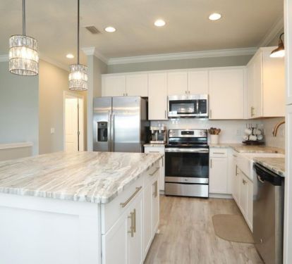 Stainless steel appliances and quartz countertops