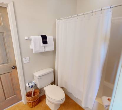 Guest Bathroom 1