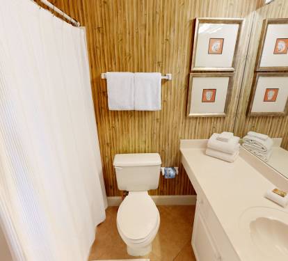 Guest Bathroom 2