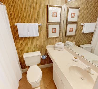 Guest Bathroom 2