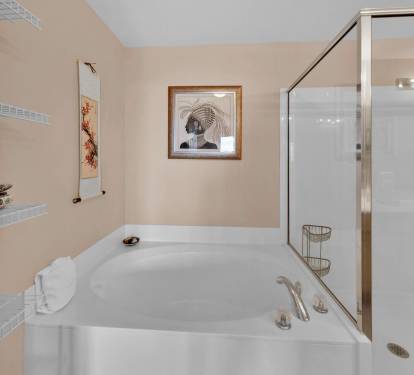 Master Bathroom 1 Part 2