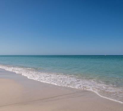 Photo #11