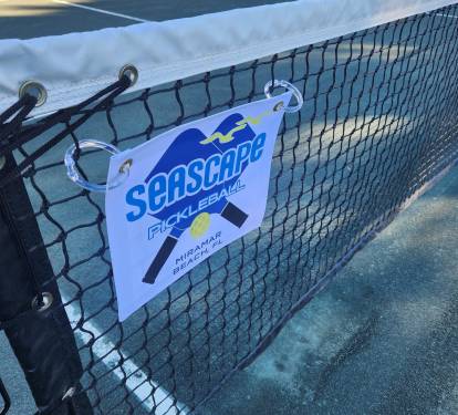 Pickleball Stock 1