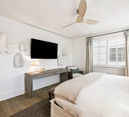 Primary King Suite - Equipped with a Flat-Screen TV
