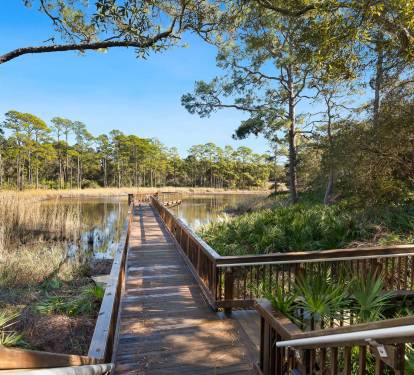 Wooden boardwalk winds through pristine wetlands surrounded by towering pines and coastal vegetation under clear blue skies.