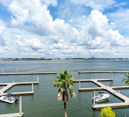 36 Caribe 305C View