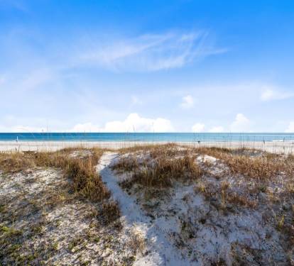 23 The Beach Shack Ocean Front View