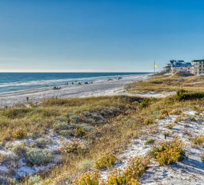 Beautiful Dunes of Seagrove