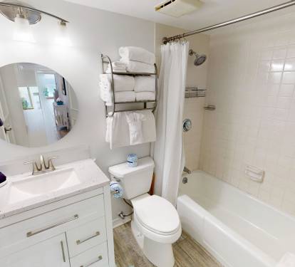 Guest Bathroom 1