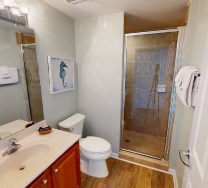 Guest Bathroom 1