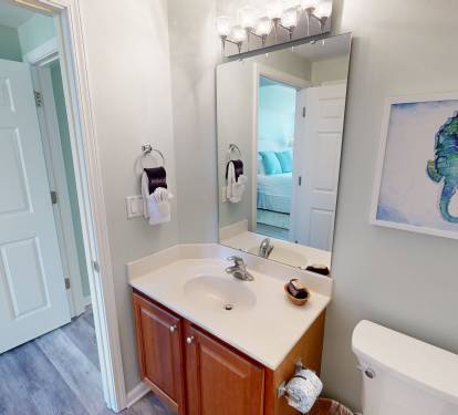Guest Bathroom 1