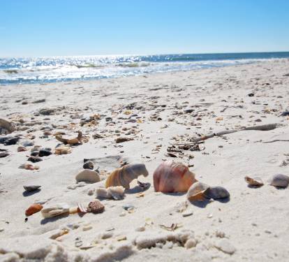 2 - Beach Access (3)