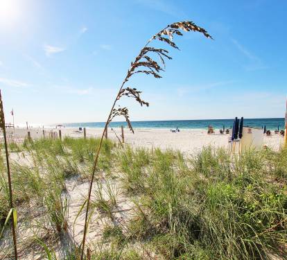 2 - Beach Access (2)