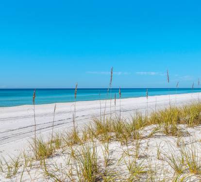 Beach Area