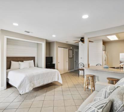 Living Room w/Bed