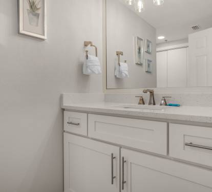 Guest Bathroom 1