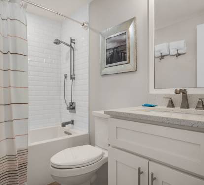 Guest Bathroom 2