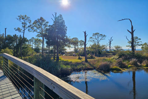 Hook, Wine N Sinker, vacation rental in St. George Island, House Rental, 3 bedroom 2 bathroom and sleeps 8