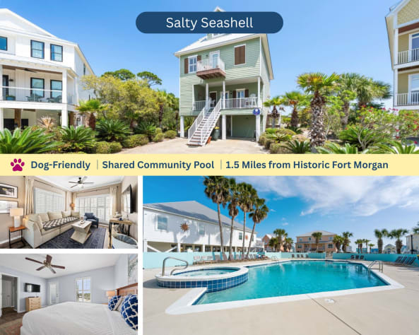 Salty Seashell