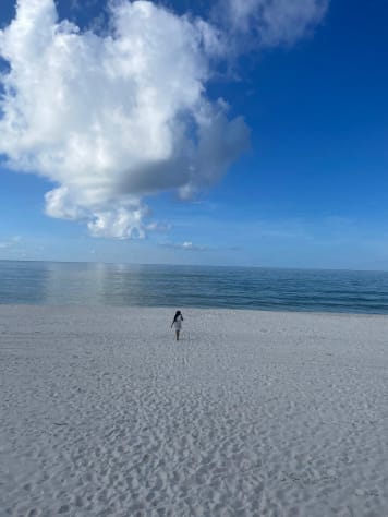Beach View