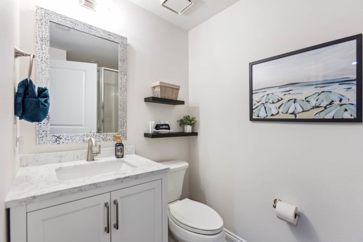 Guest Bath with Shower