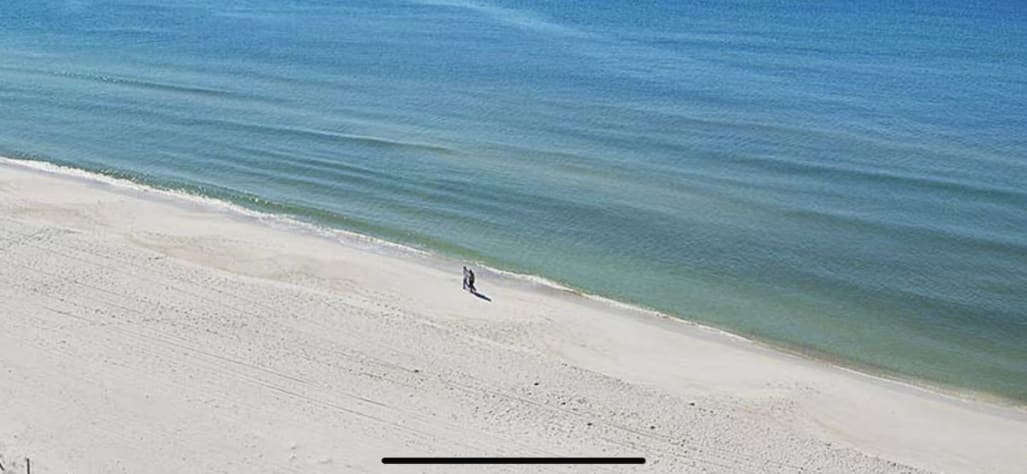 Morning sightings of manatee, dolphins, stingray &amp; more from the penthouse view!