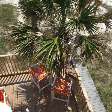 Bar stools on Beach with PALM UNBRELLA