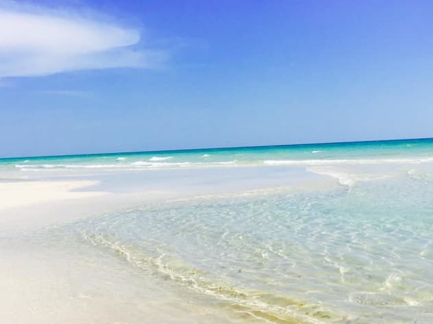 Amazing Gulf of Mexico