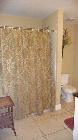 Master Bathroom Shower and Tub