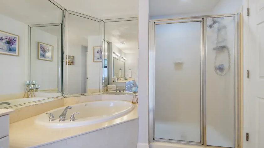Master bathroom bathtub and shower place