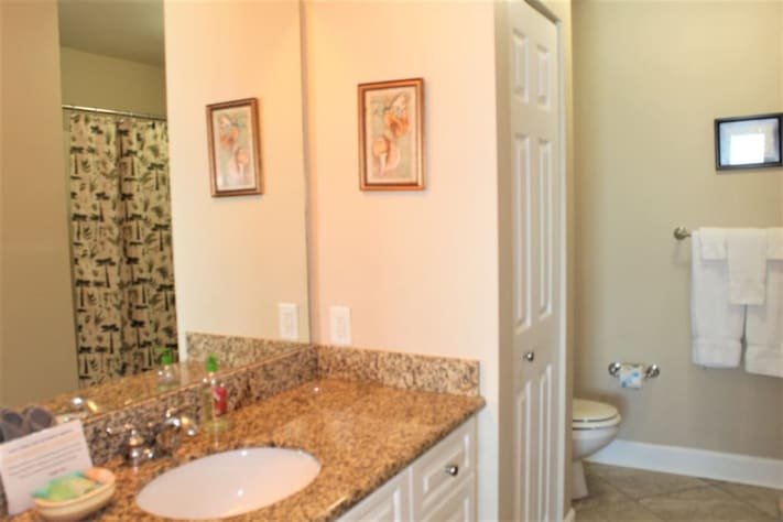 Guest Bath