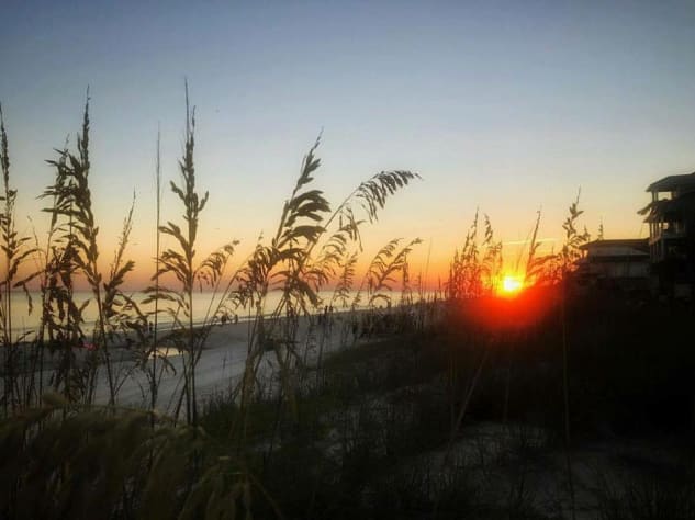 One of many stunning sunsets, pictured through sea oats, protected by law. 