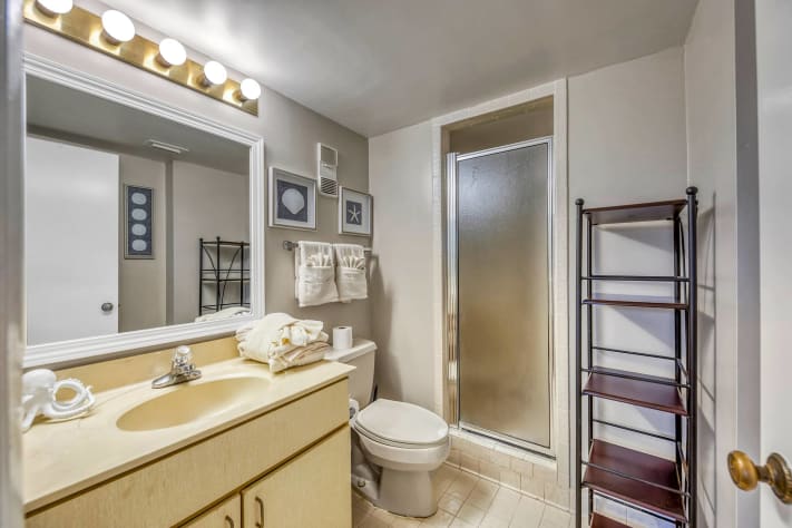 Guest bath and shower