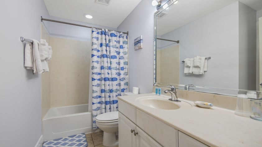 Guest bathroom