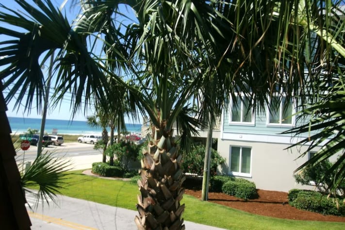 View from back porch