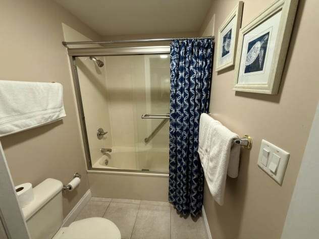 Guest Bathroom Shower Area