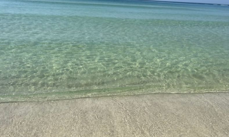 Emerald waters of the Gulf of Mexico!