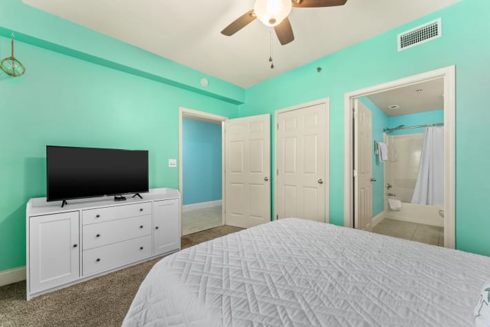 Master Bedroom with TV and Bathroom View