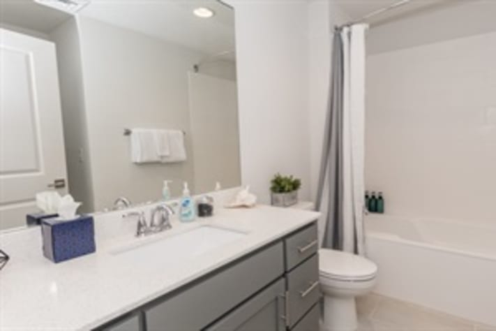 Hall Bathroom