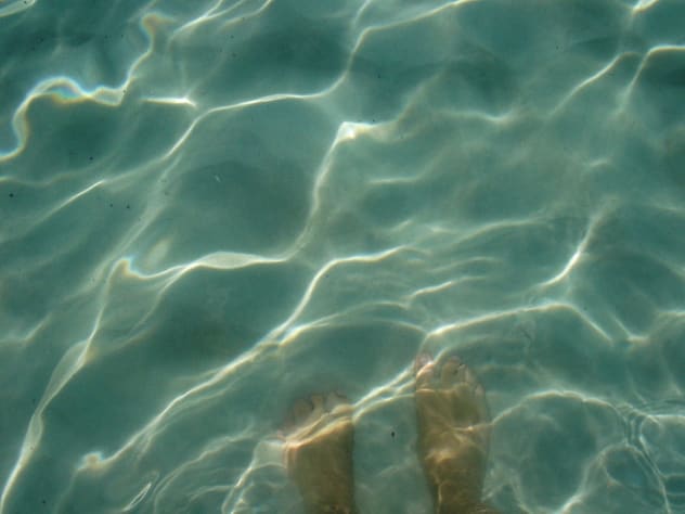 Toes in the Water...