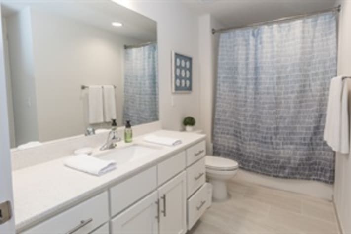 Hall Bathroom