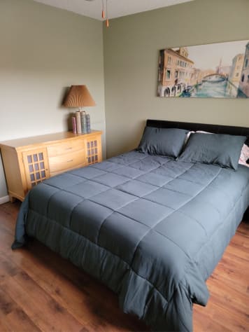 Second bedroom with comfy queen bed.