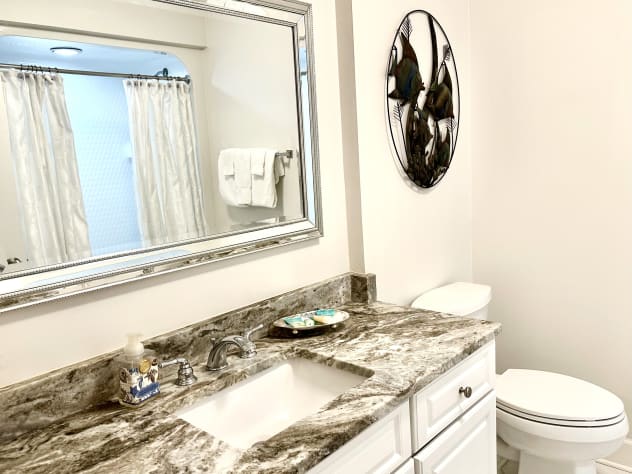 Guest bathroom