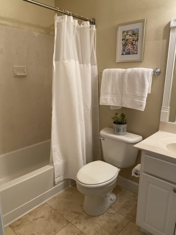 Hall bathroom