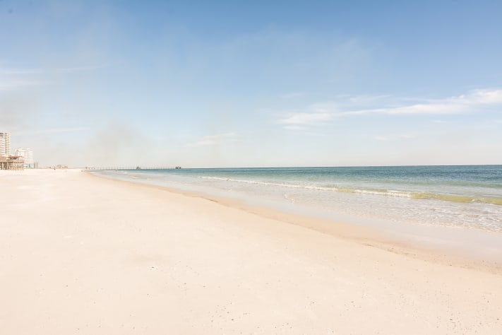 Sanddollar #13 - Beach