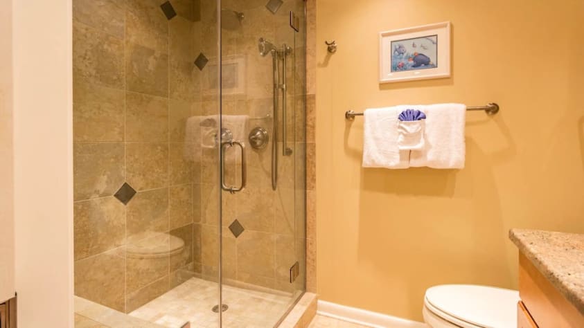View of the master shower.