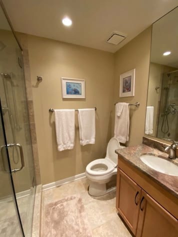 Another view of master bathroom