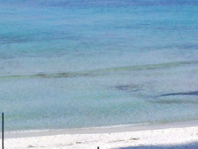 Watching stingrays swim along the coast line while watching for dolphin.