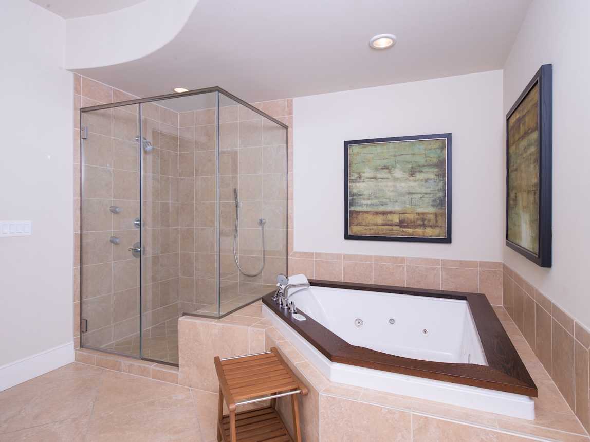 Huge jacuzzi tub or huge shower with multi-head sprayers? You decide!!