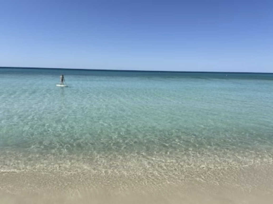 Look at this view with your FREE Beach chair setups at DOLPHIN'S DREAM!